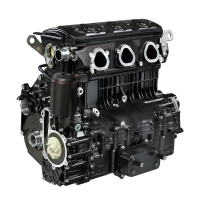 Двигатель Sea-Doo 215-260  RXT/RXP/GTX